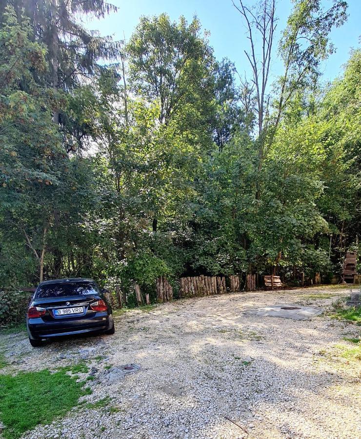 Apartament Deja Vu Boutique Predeal Zewnętrze zdjęcie